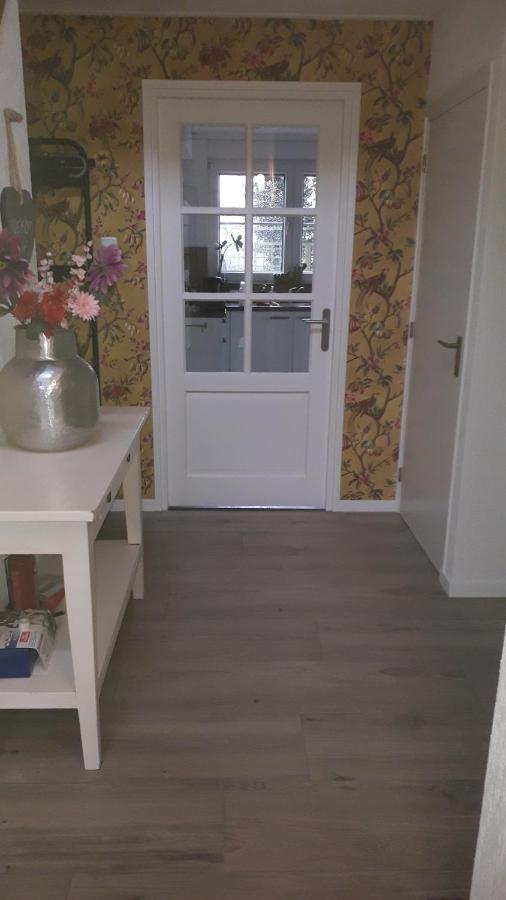 Groot Familiehuis Voor 6 Personen In Landelijke, Rustige Omgeving Villa Breezand Dış mekan fotoğraf